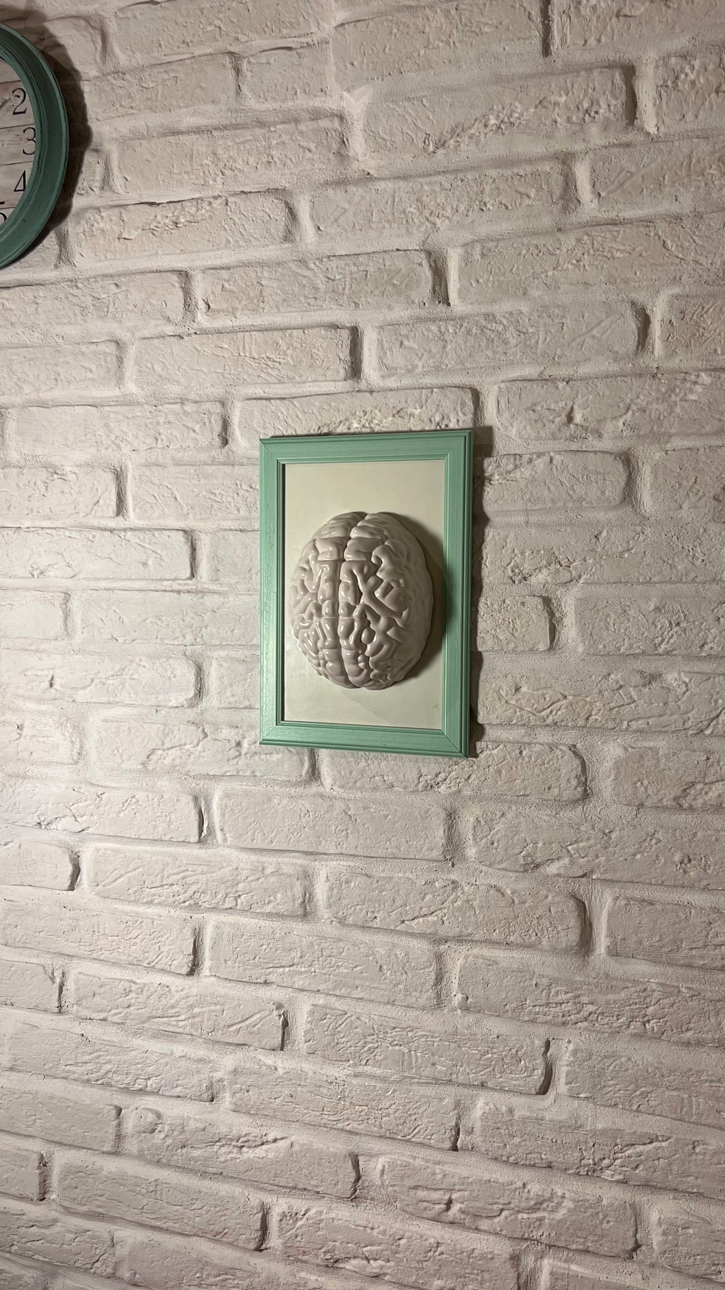 Cervello white #3