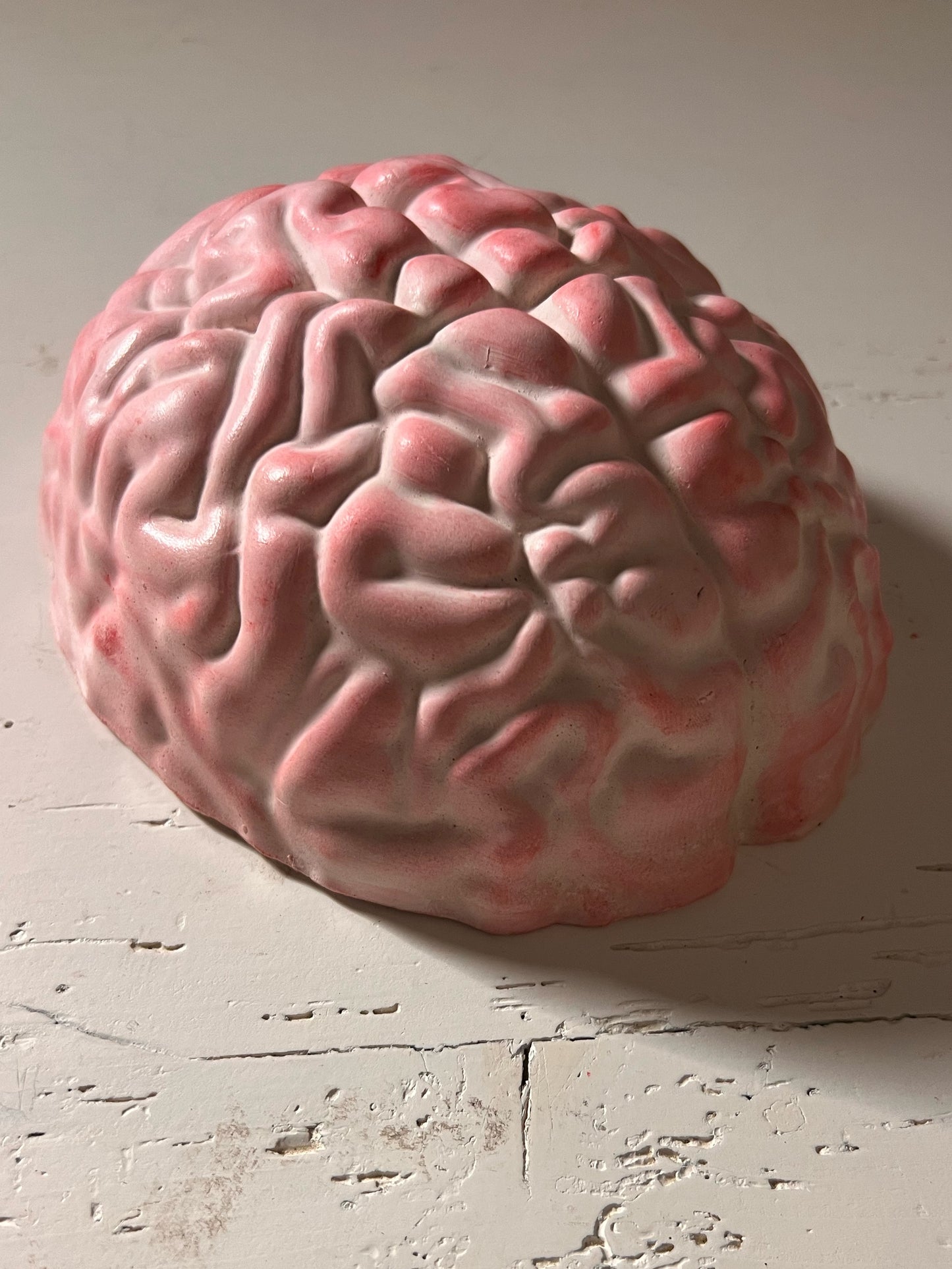 Cervello