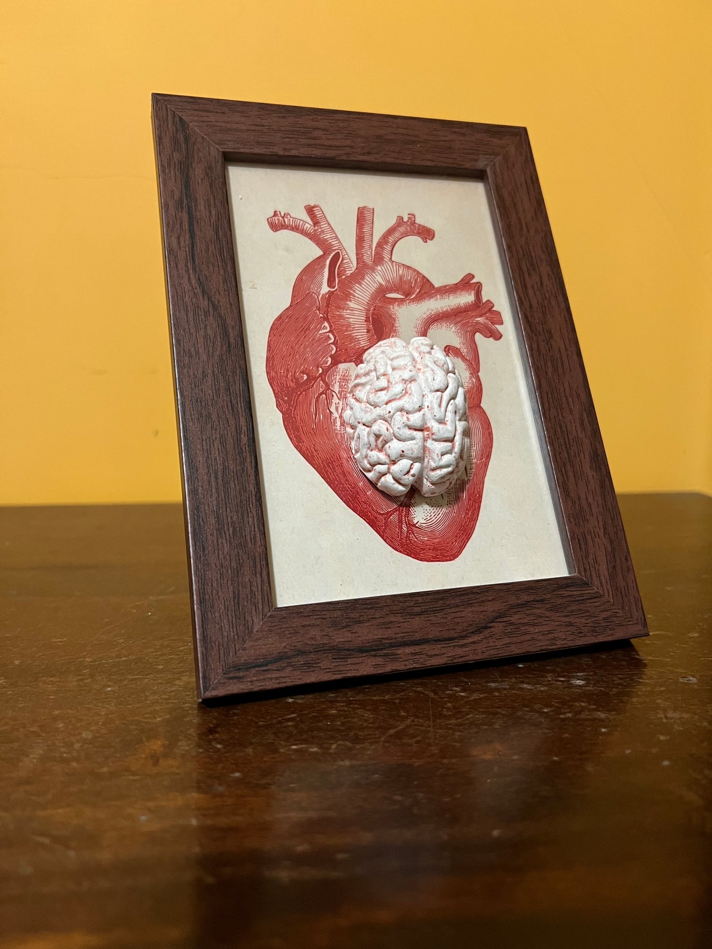 Intreccio tra emozione e ragione