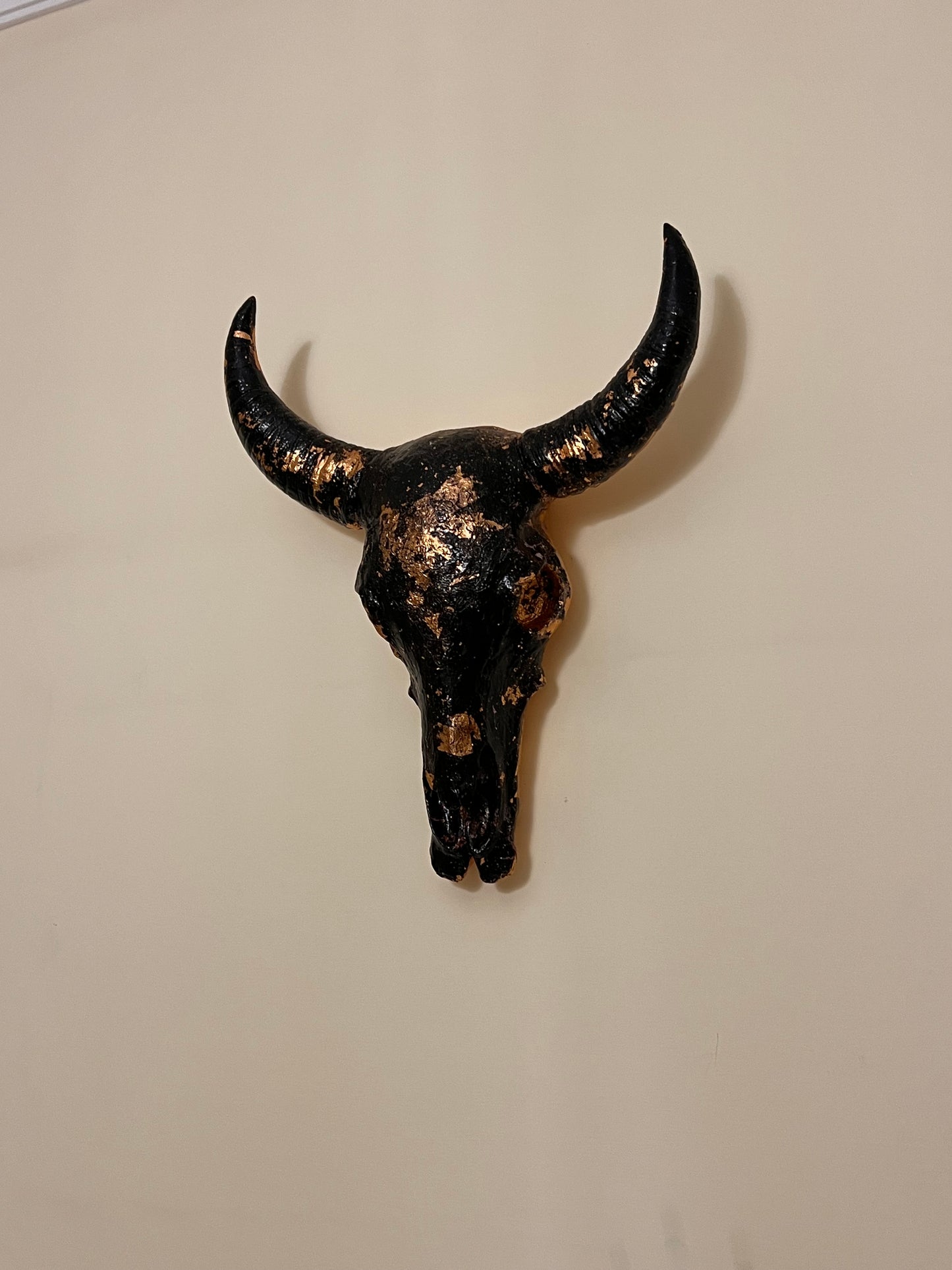 Shadow Bull