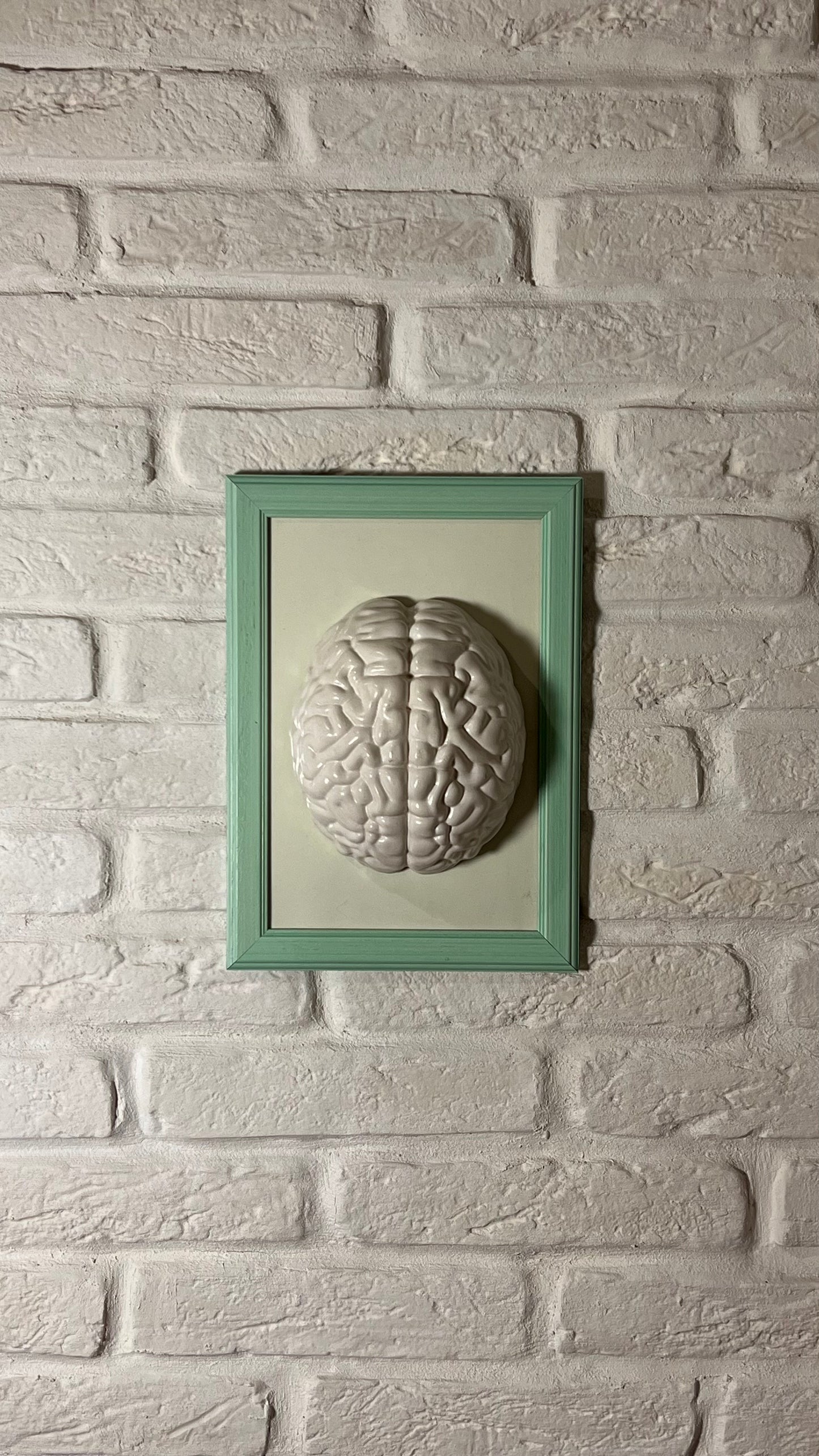 Cervello white #3