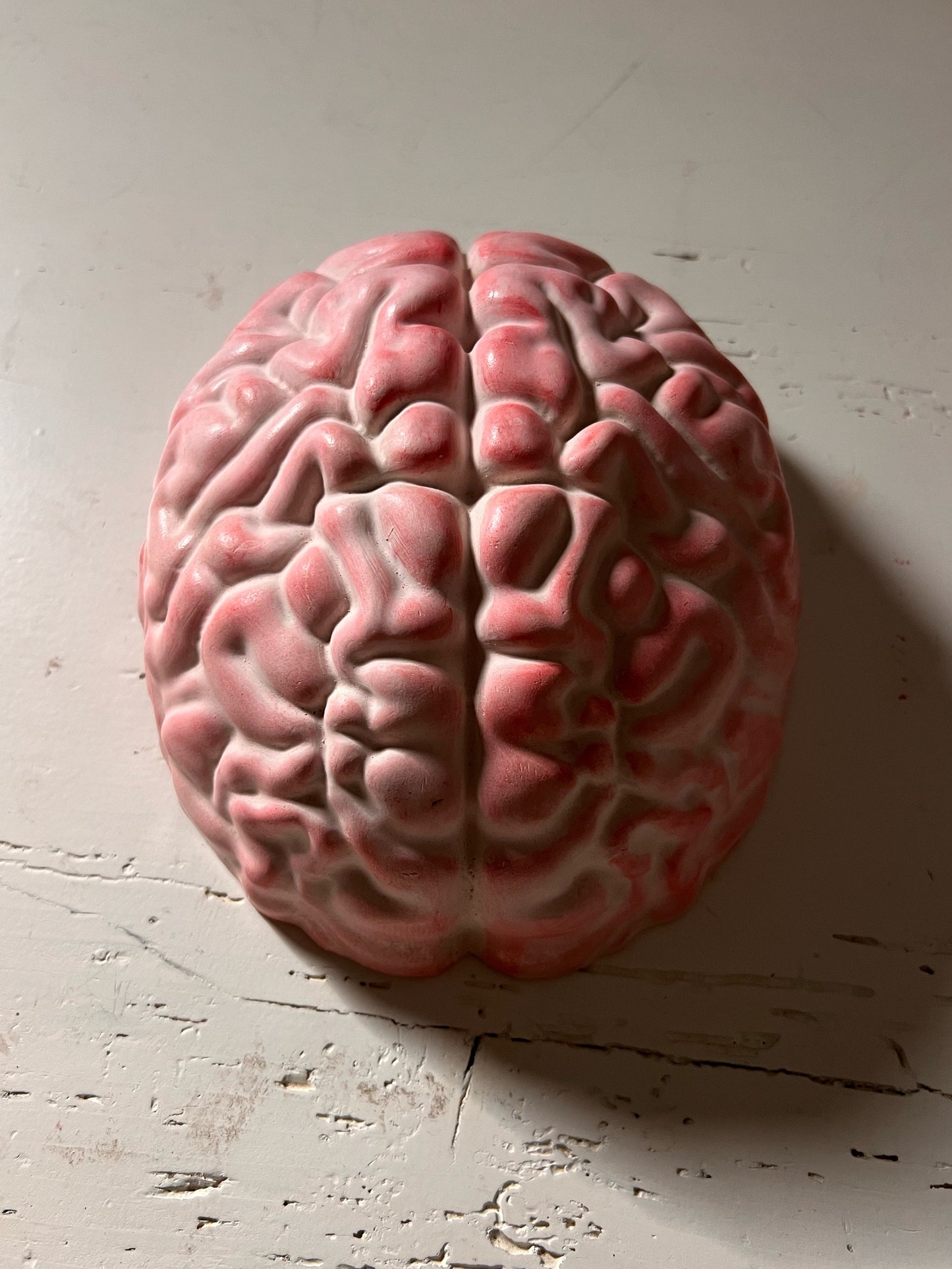 Cervello