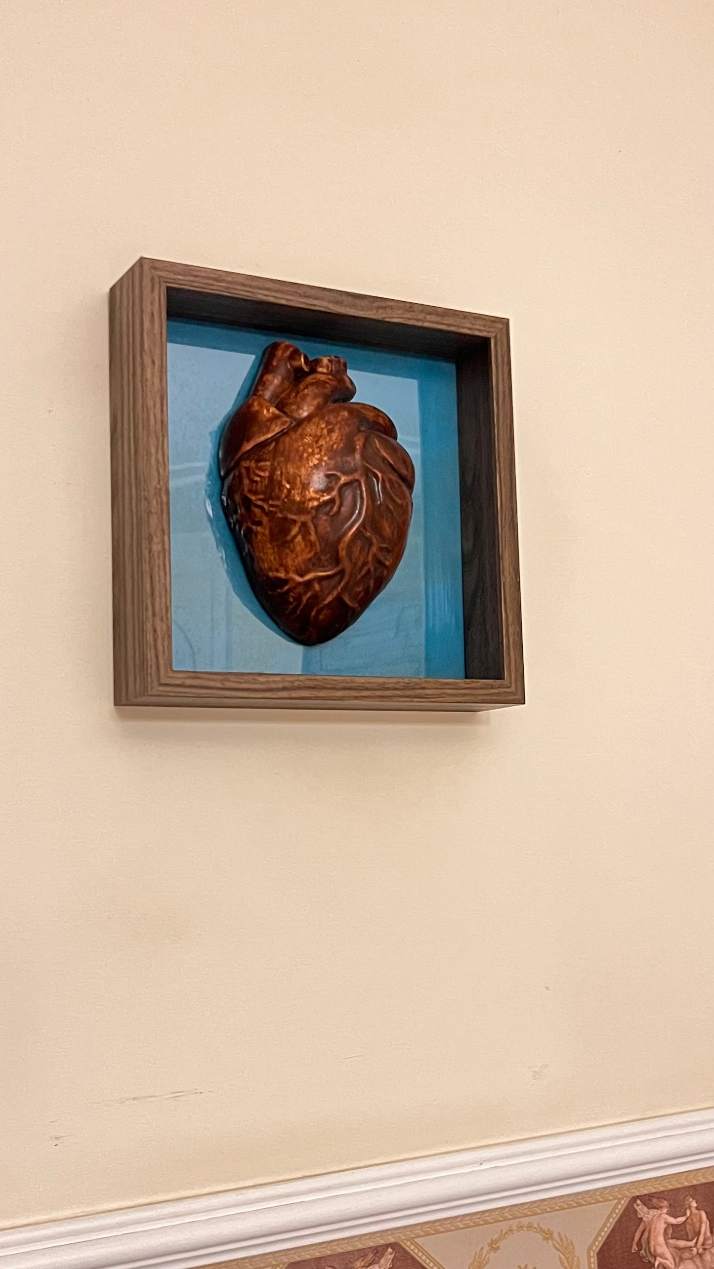 Coppia cervello cuore anatomico #10