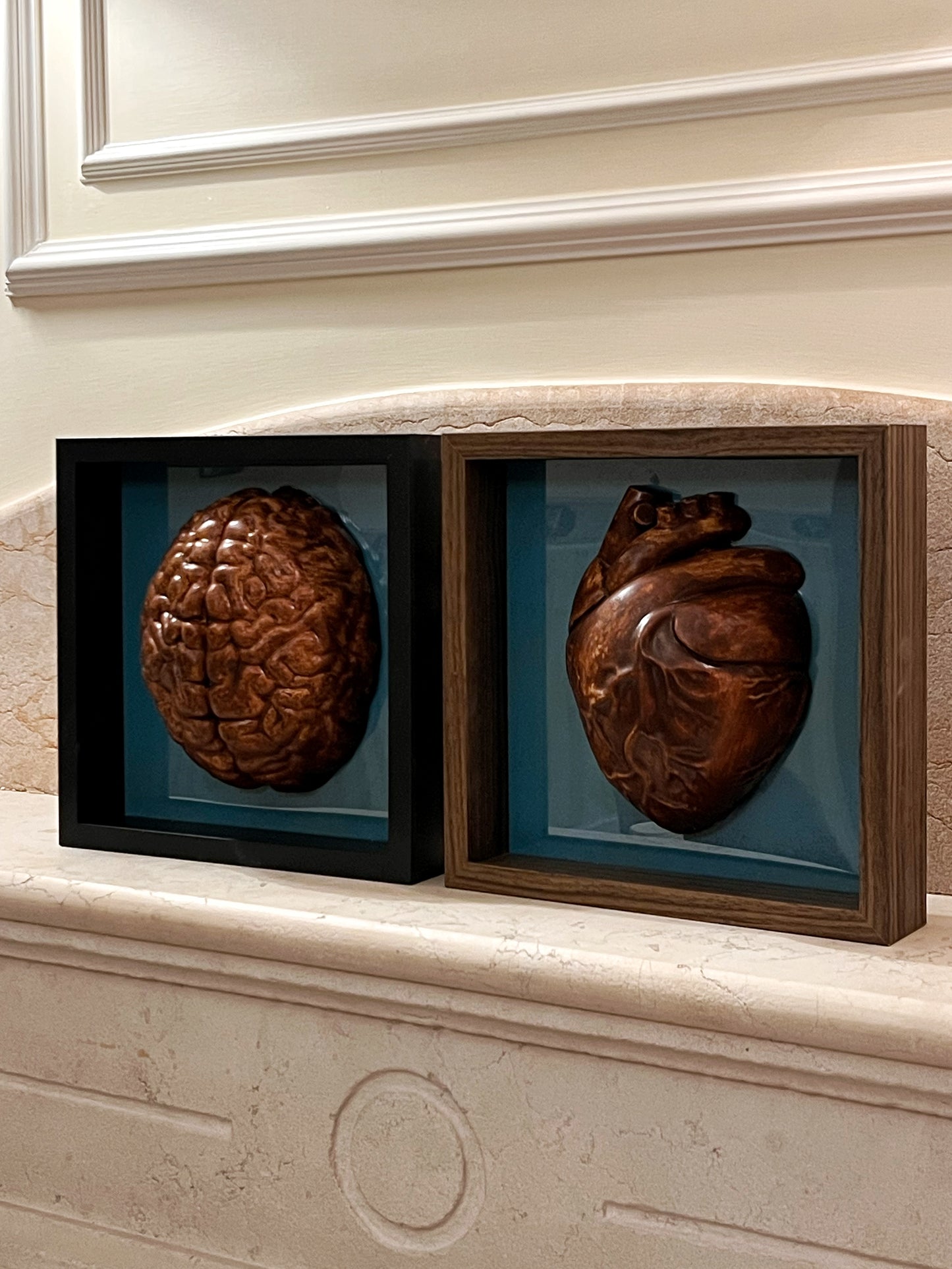 Coppia cervello cuore anatomico #10