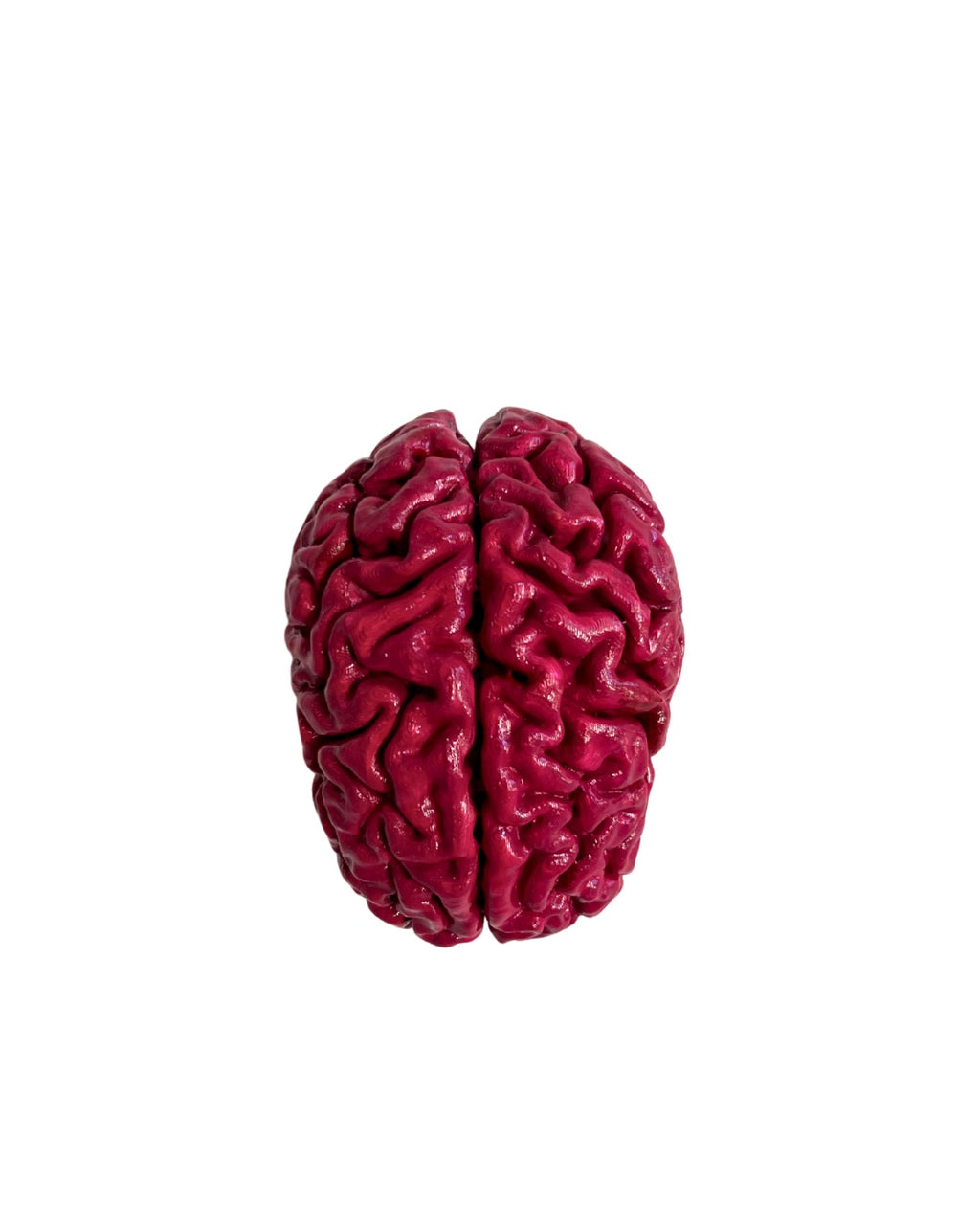Appendiabiti cervello