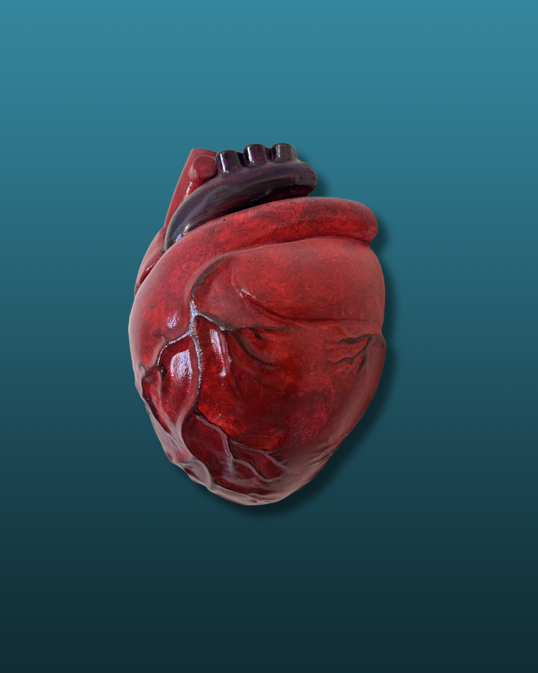 Cuore anatomico