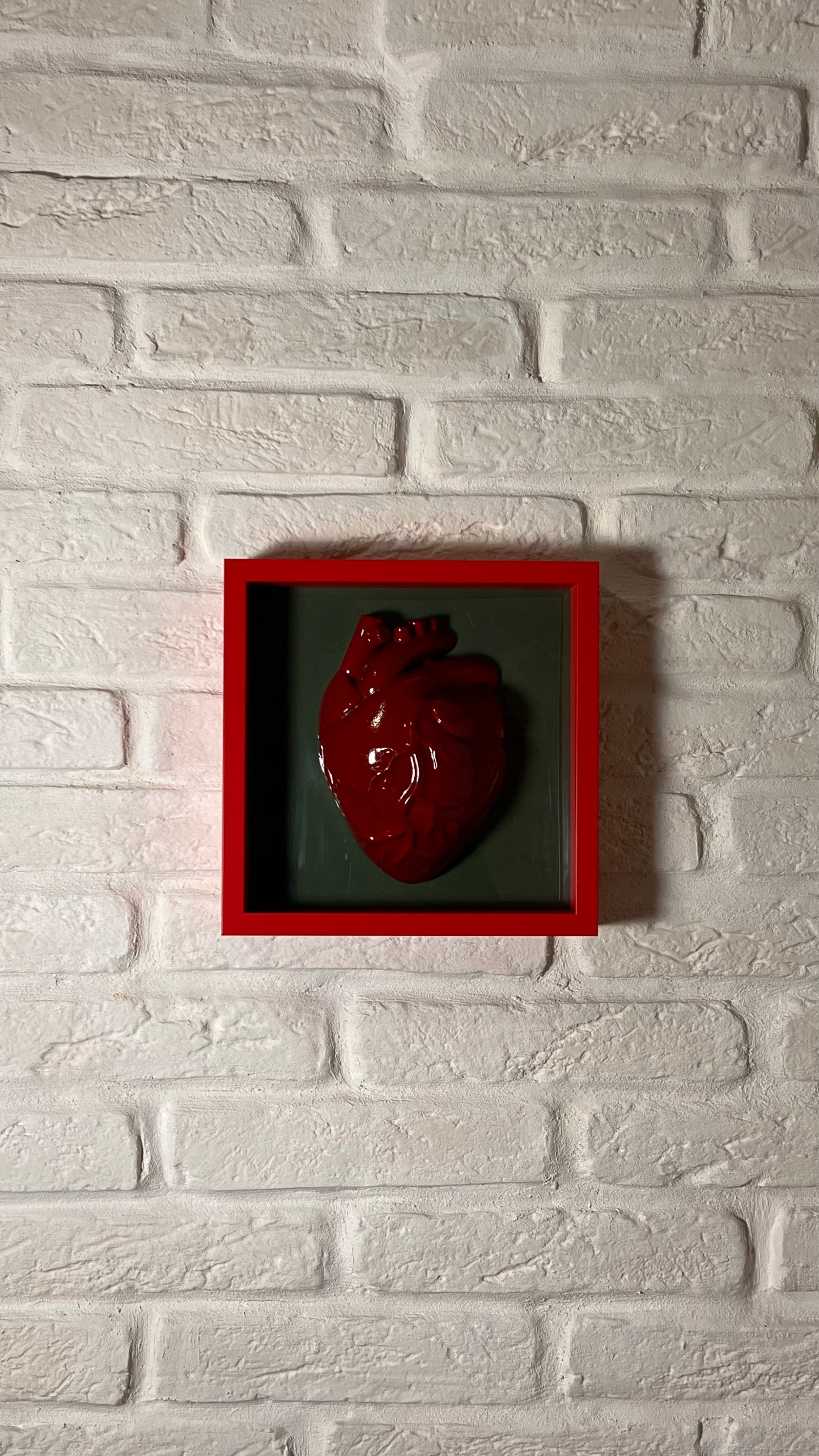 Anatomico rosso su verde