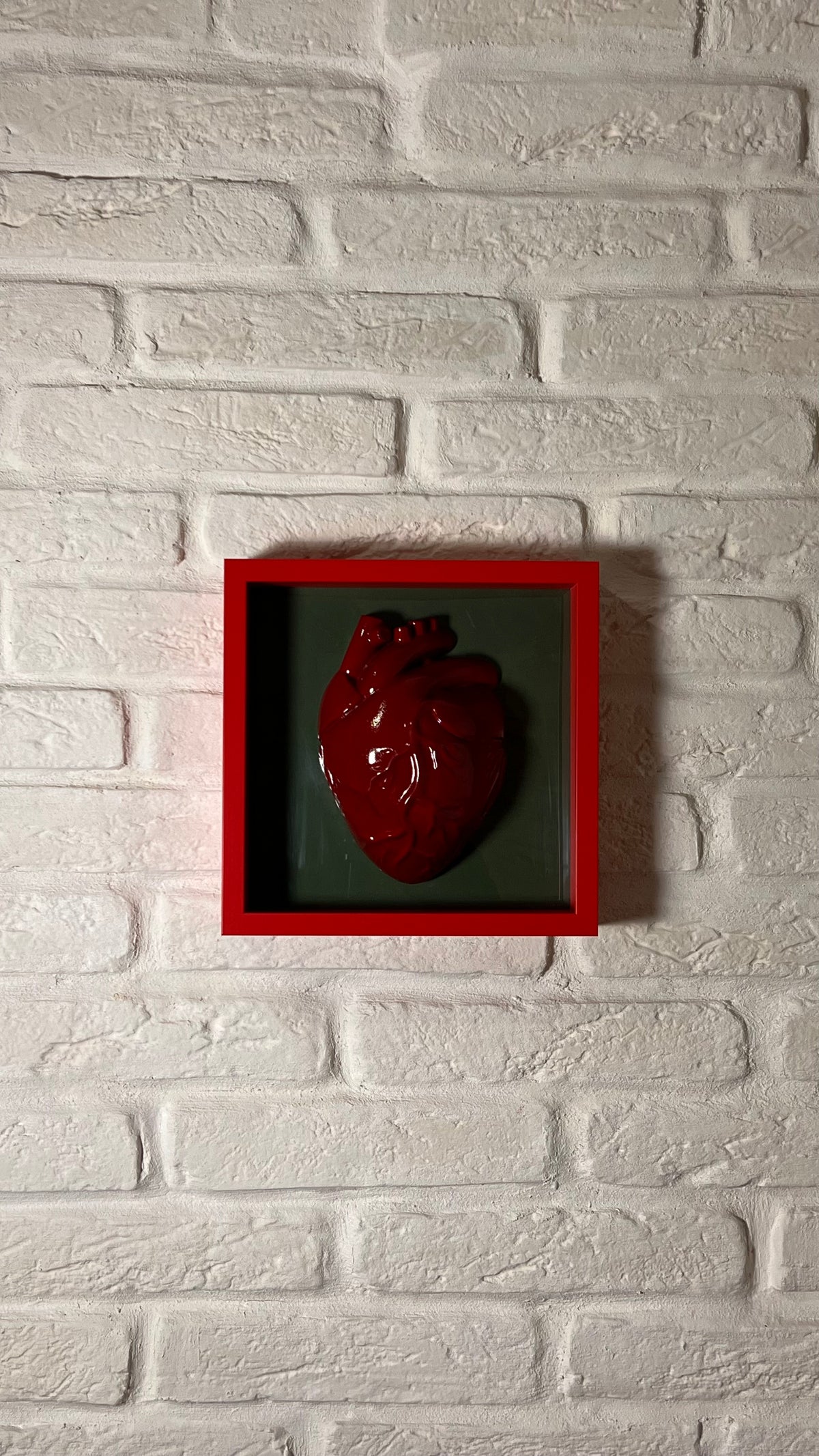 Anatomico rosso su verde
