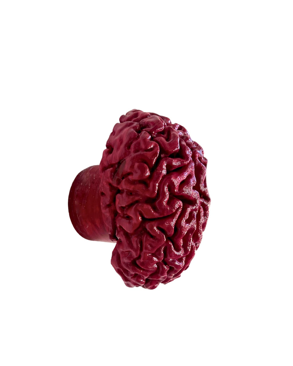 Appendiabiti cervello