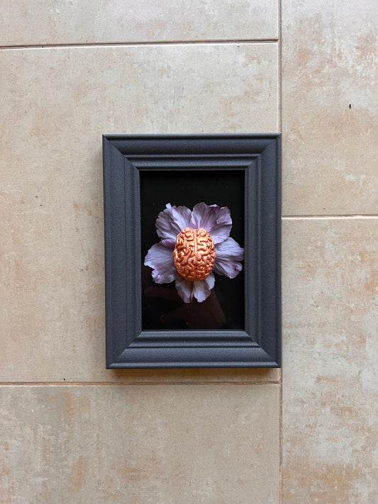 Fioritura nella mente
