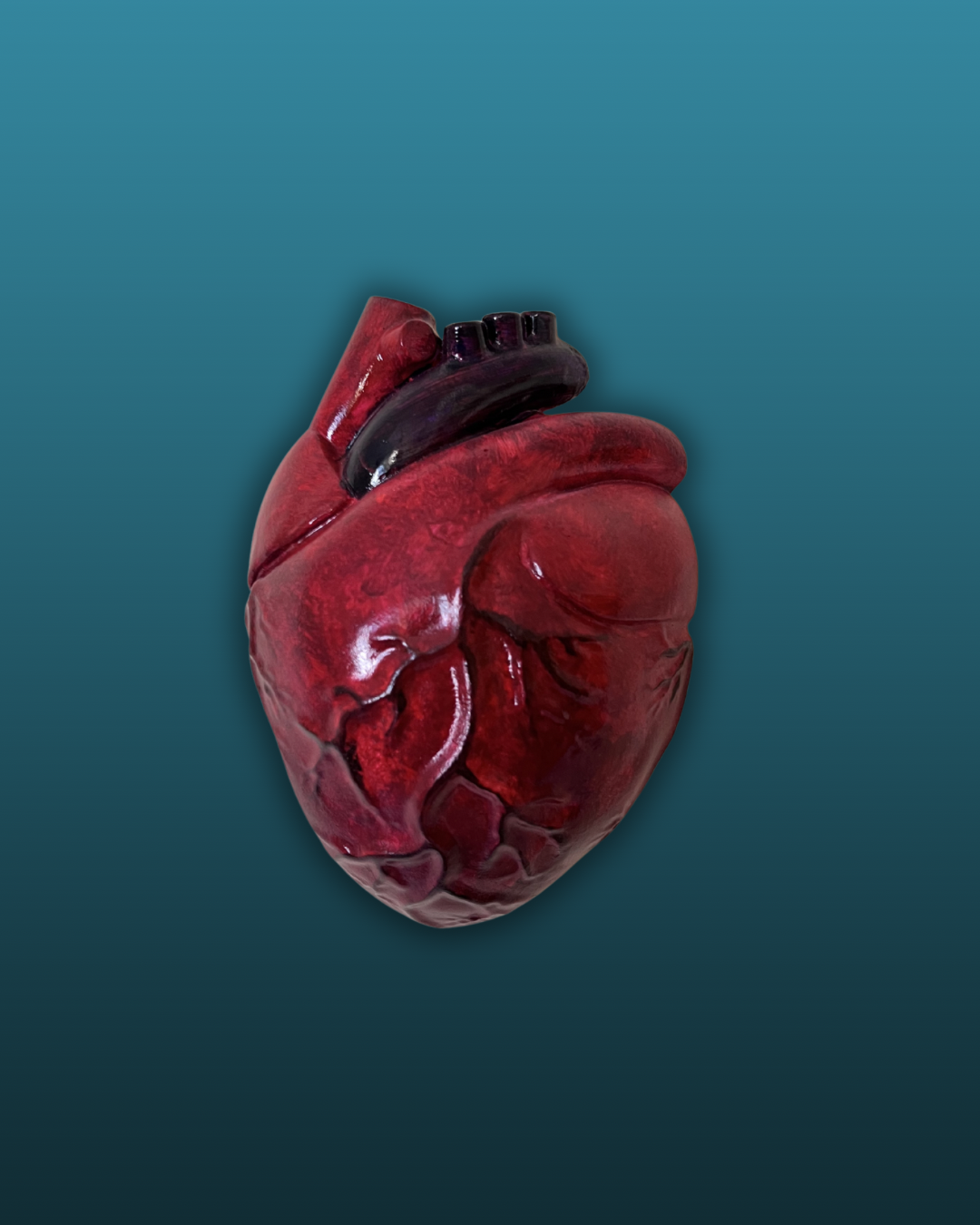 Cuore anatomico
