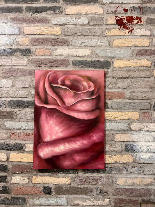 Rosa eterna