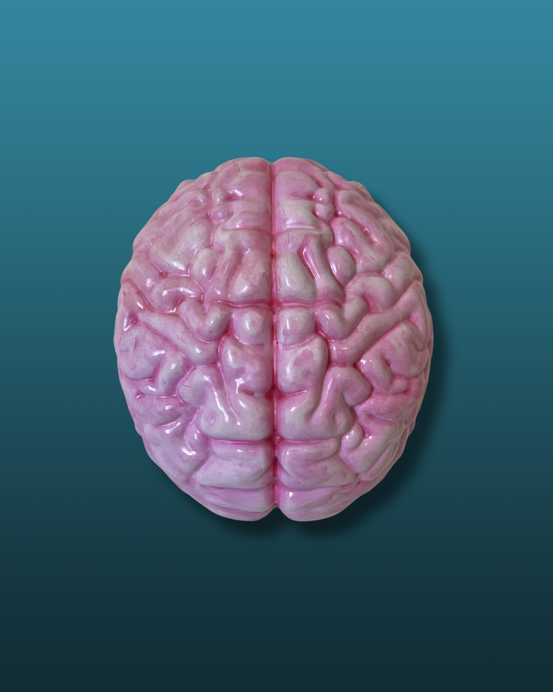 Cervello anatomico
