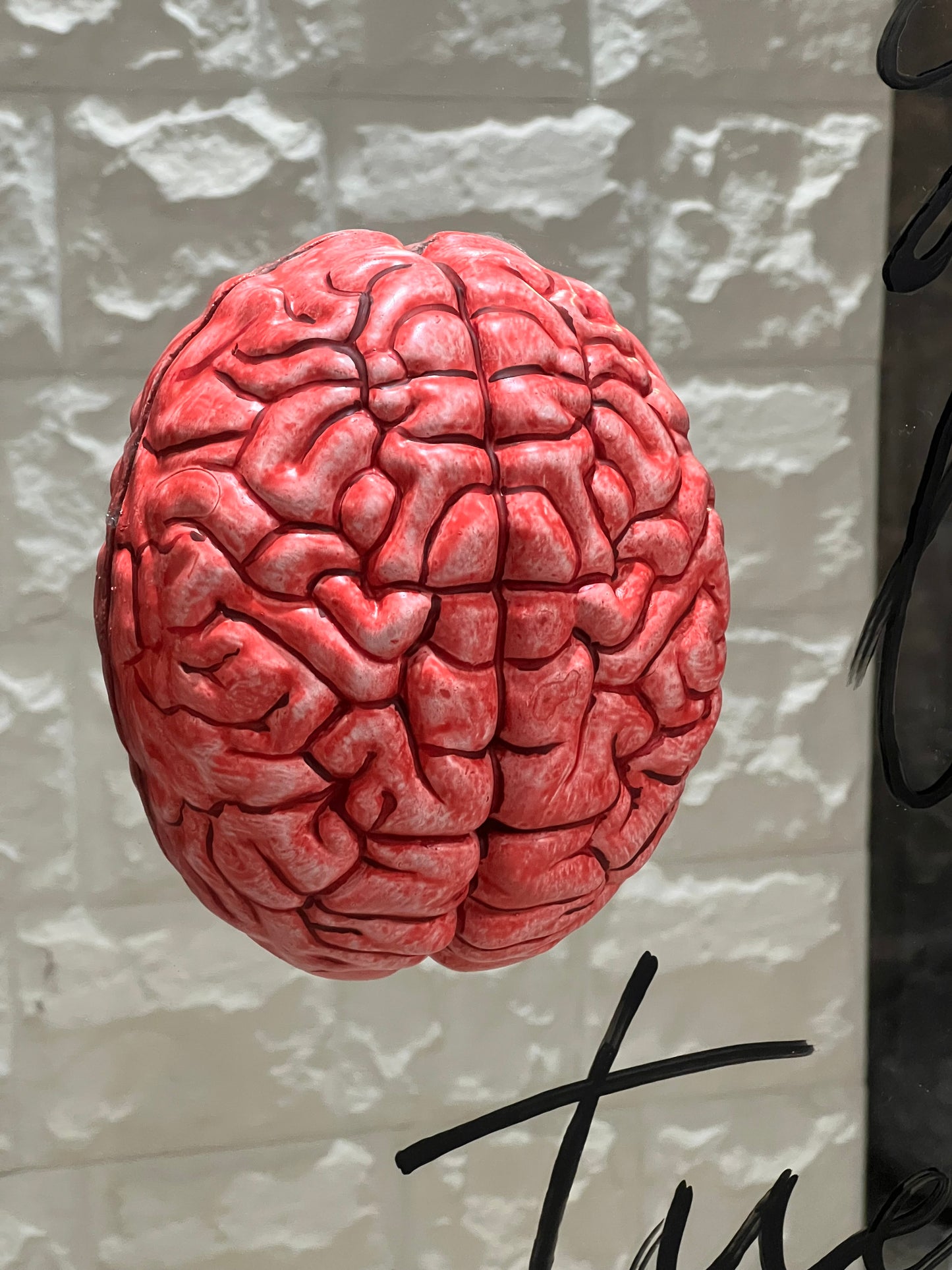 Chi guida le tue scelte?