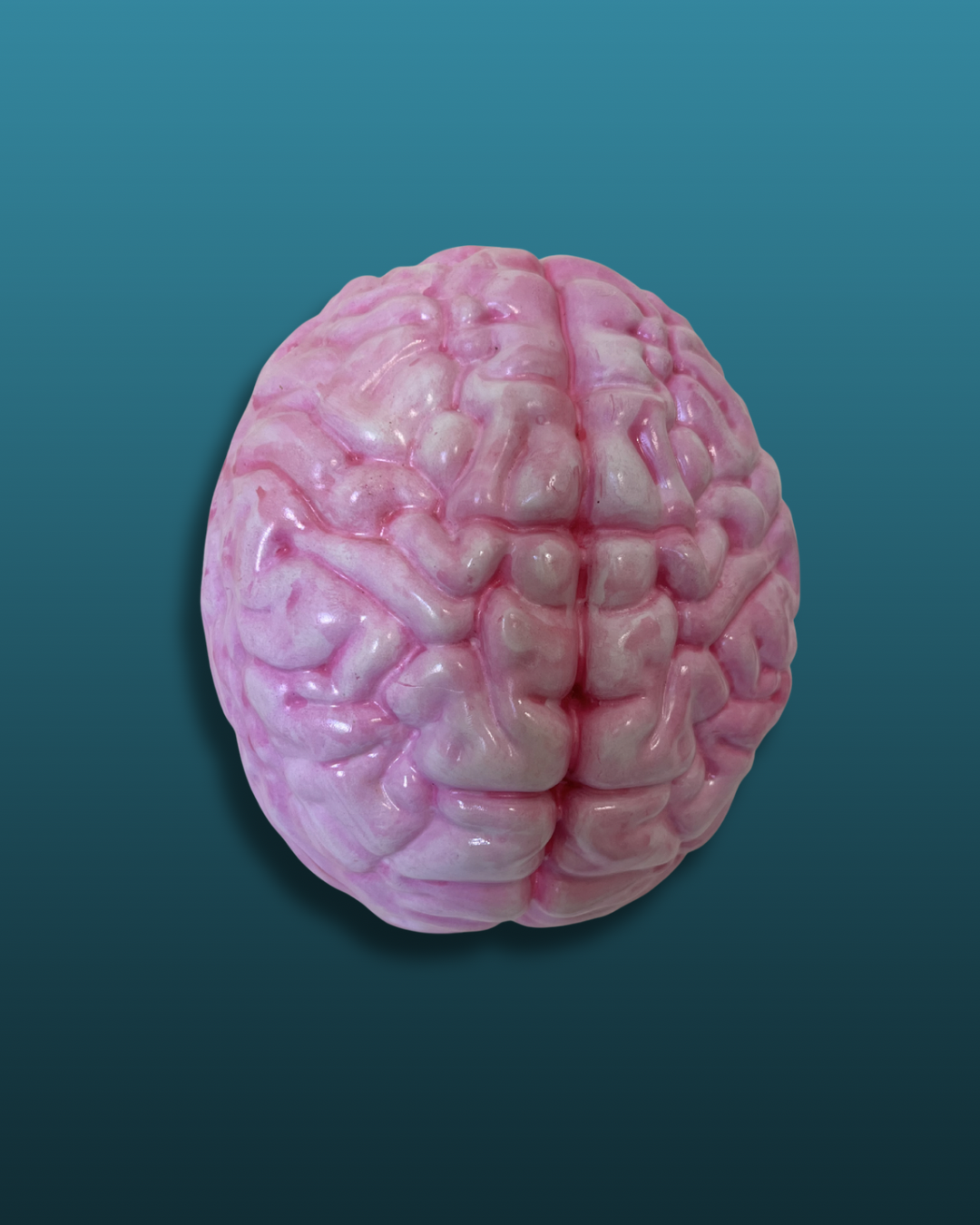 Cervello anatomico