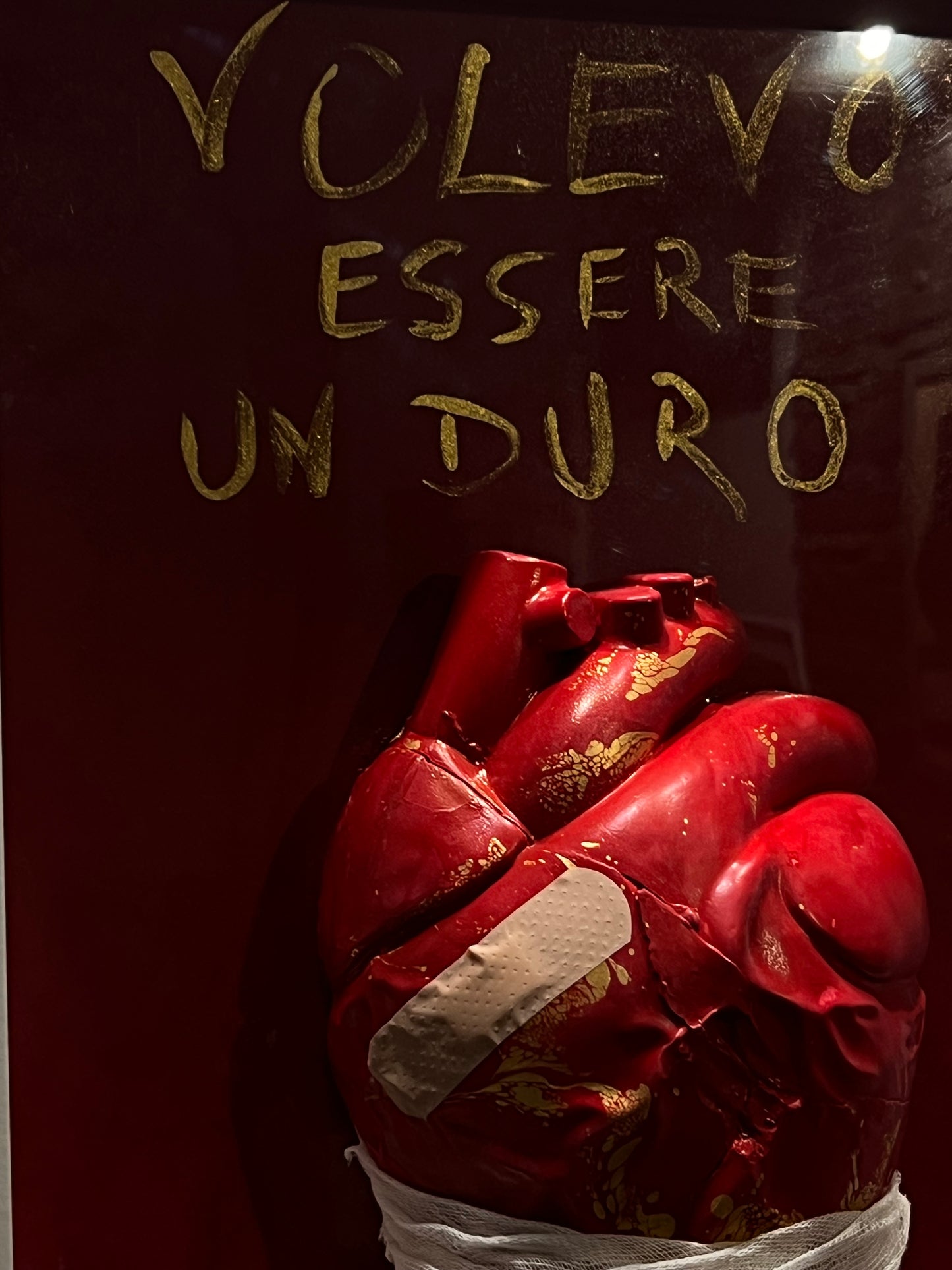 Volevo essere un duro