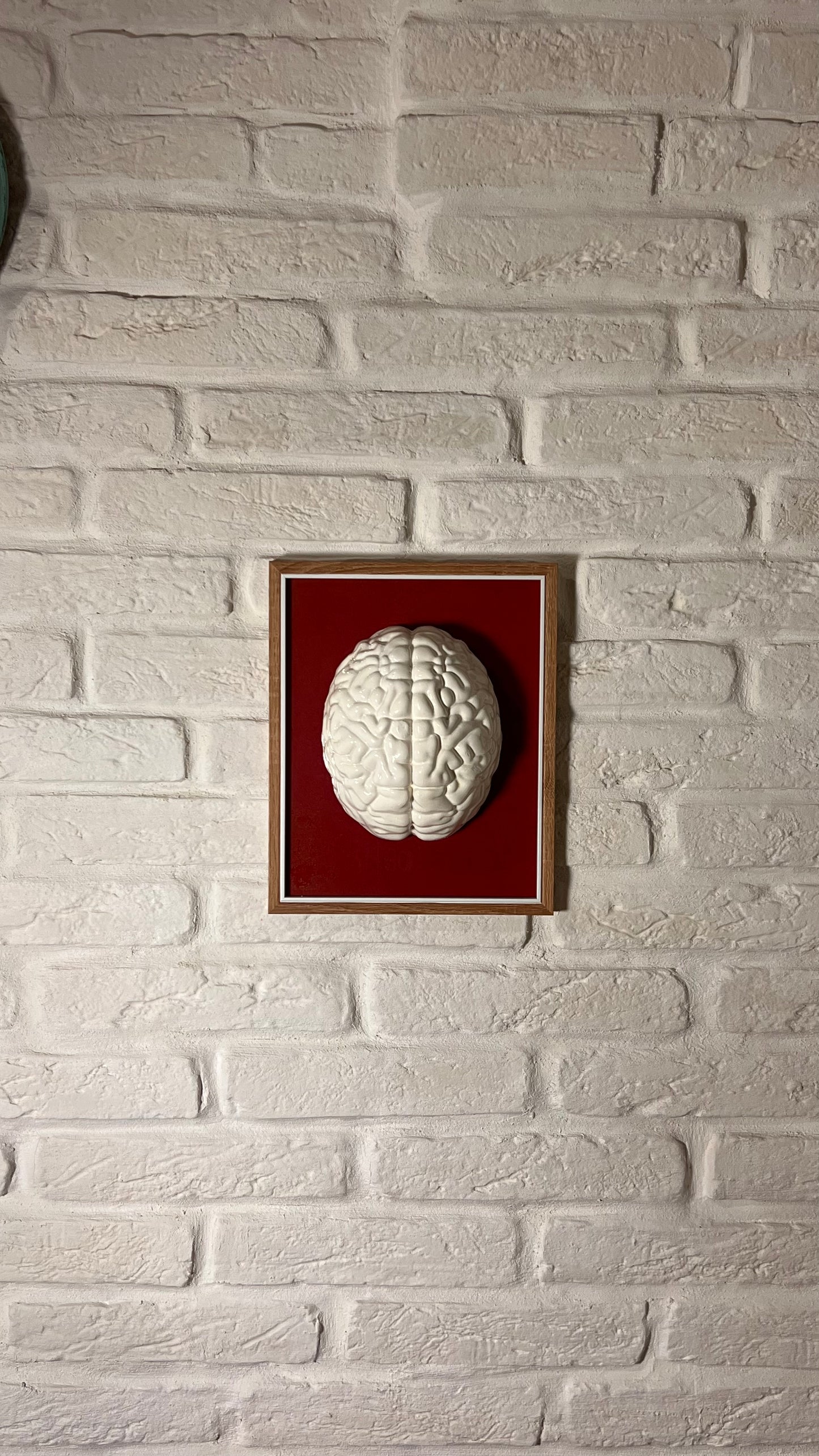 Cervello bianco su bordeaux