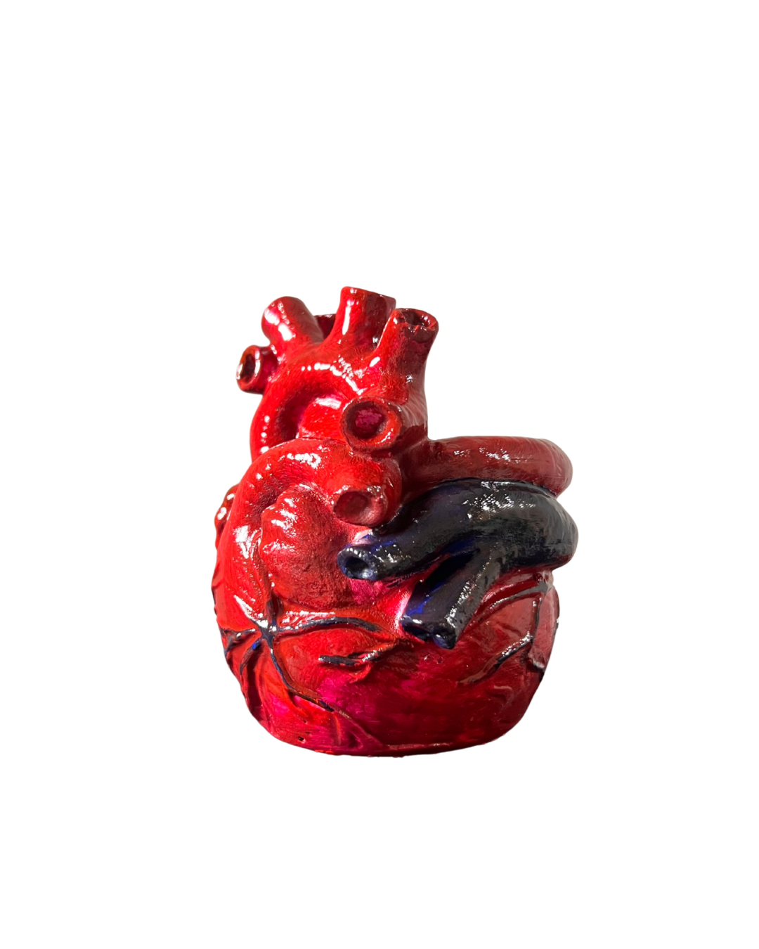 Portapenne cuore anatomico