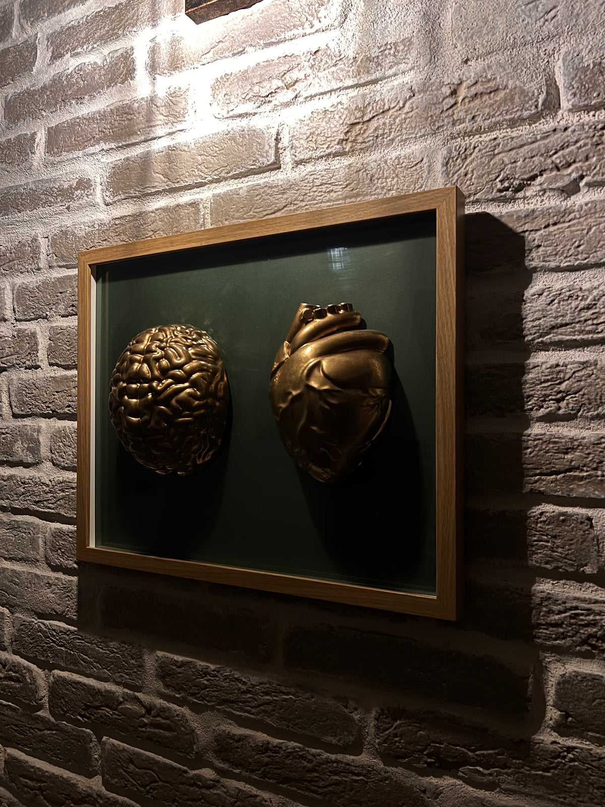 Anatomici Green golden