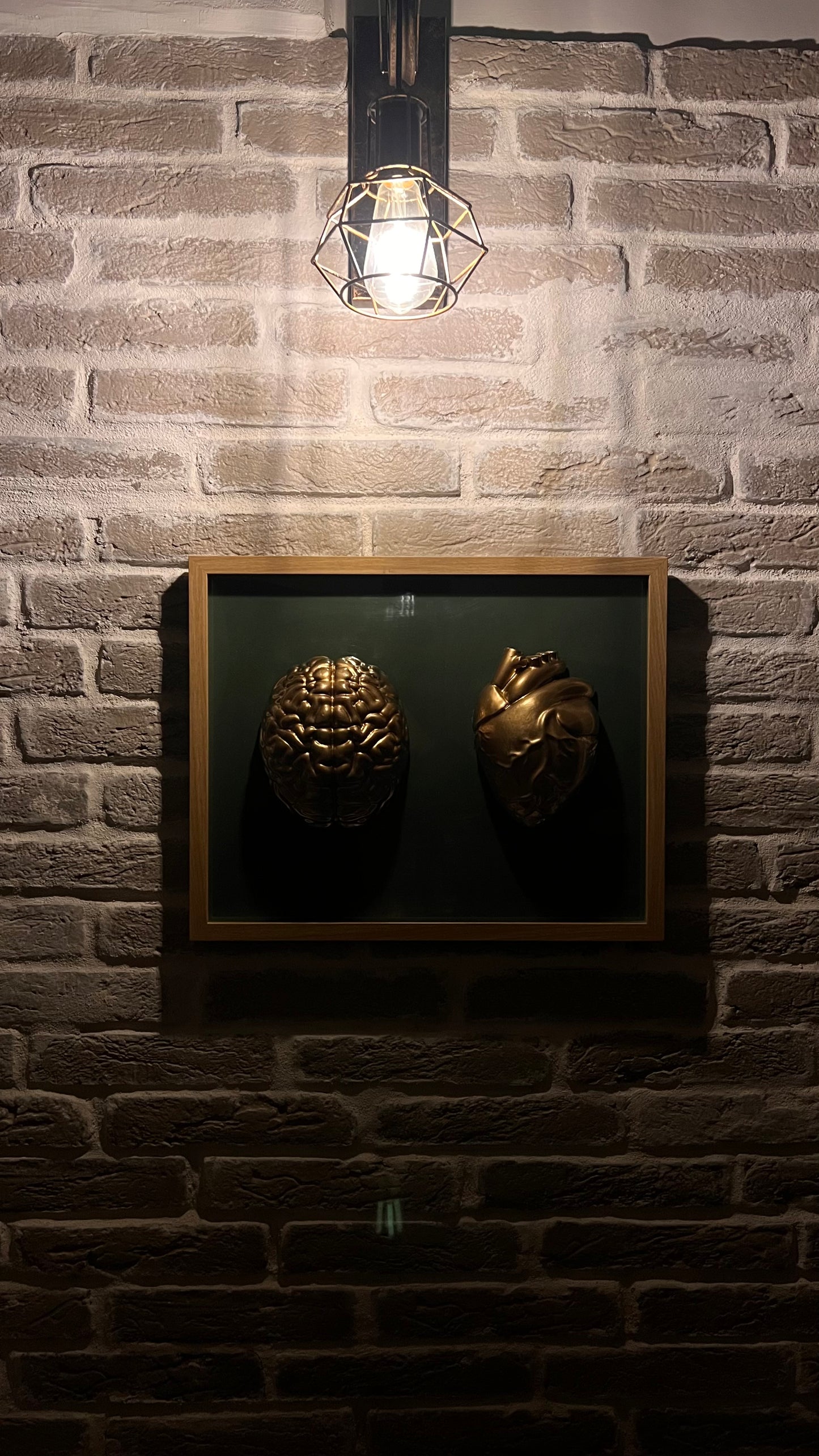 Anatomici Green golden