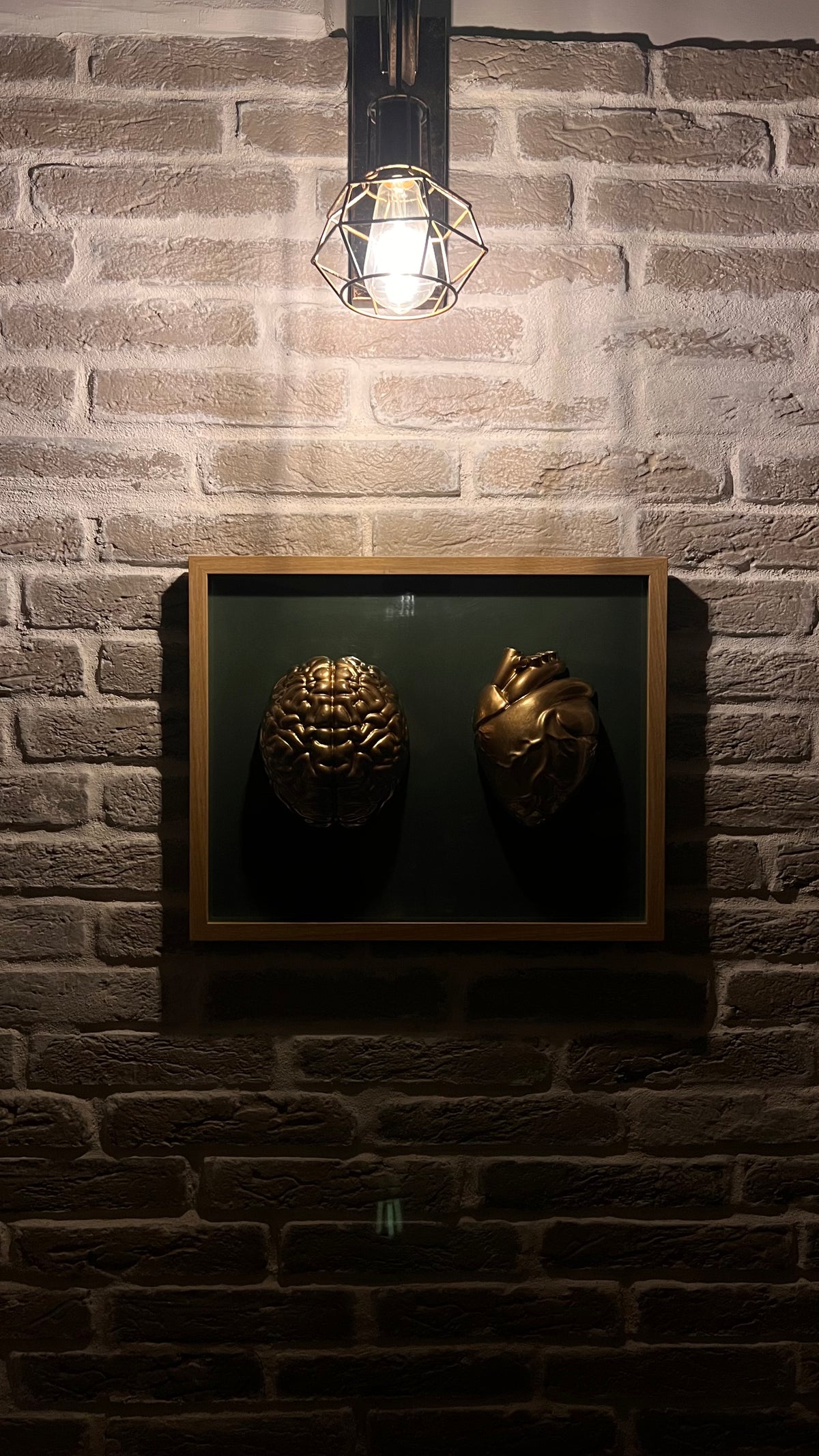 Anatomici Green golden