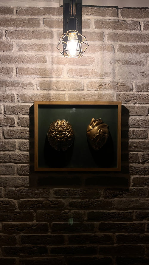 Anatomici Green golden