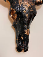 Shadow Bull
