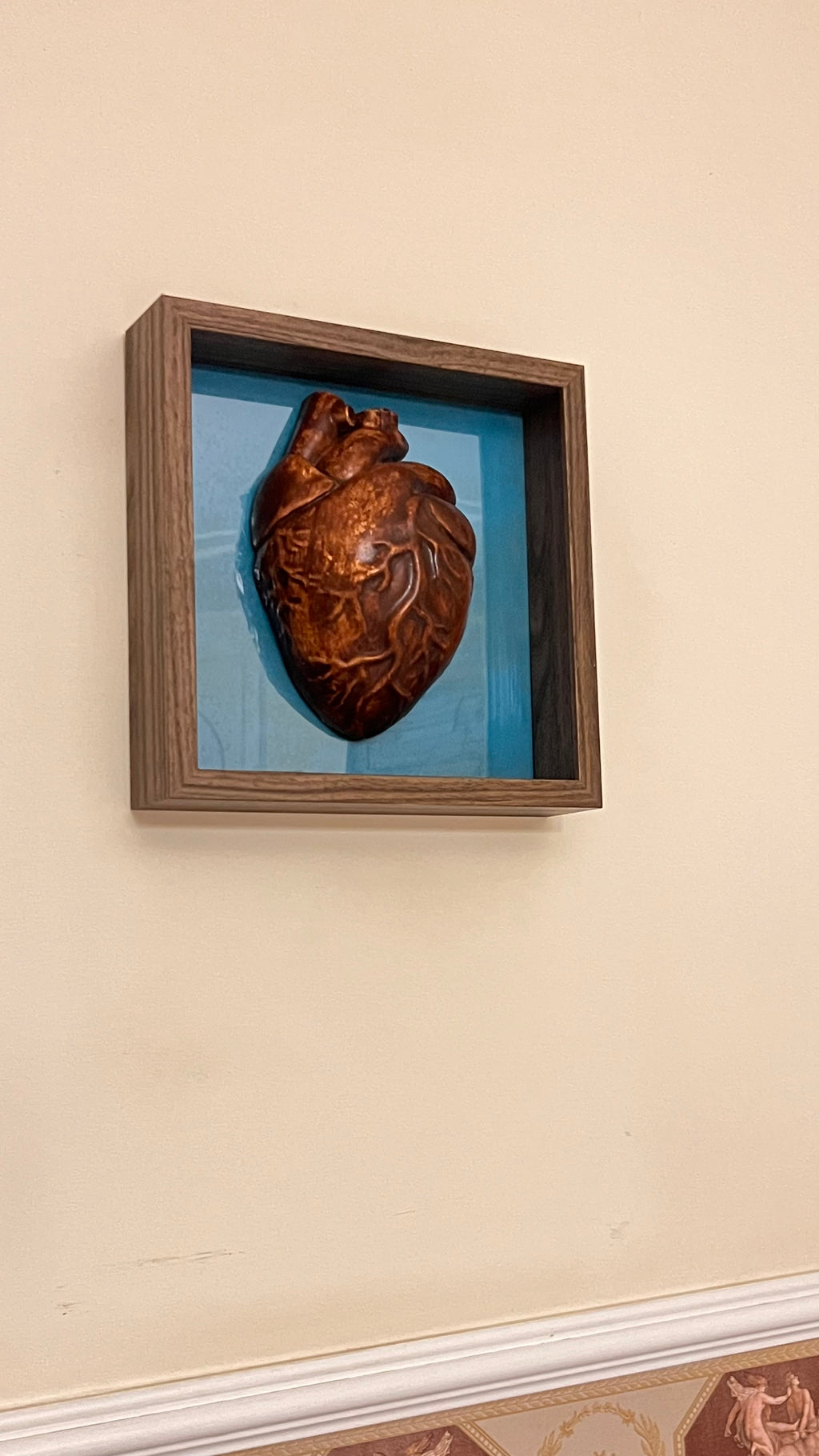 Coppia cervello cuore anatomico #10