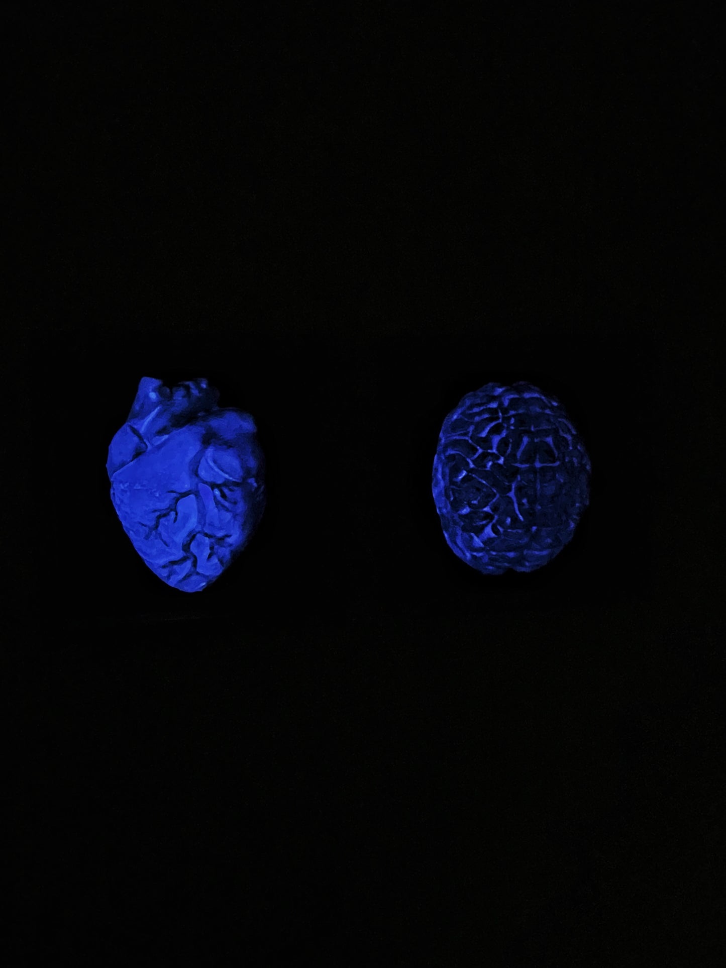 In the Dark