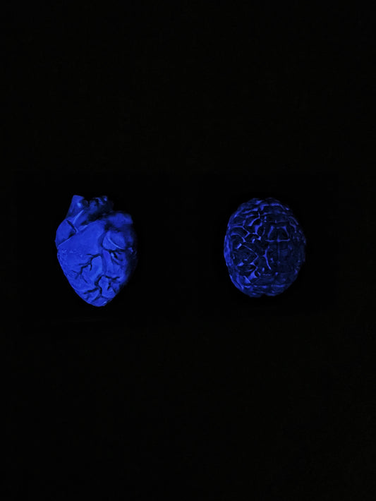 In the Dark