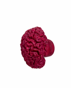 Appendiabiti cervello