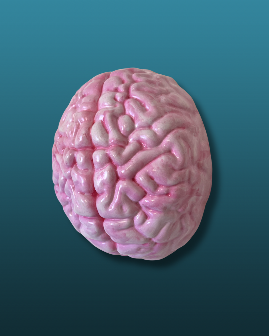 Cervello anatomico