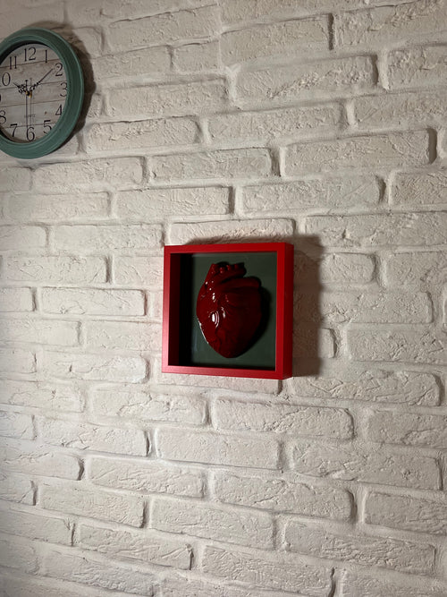 Anatomico rosso su verde