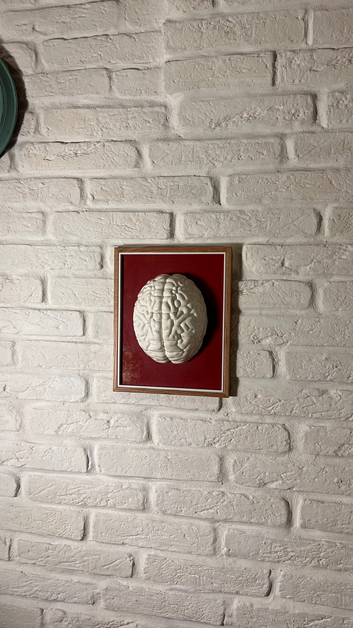 Cervello bianco su bordeaux