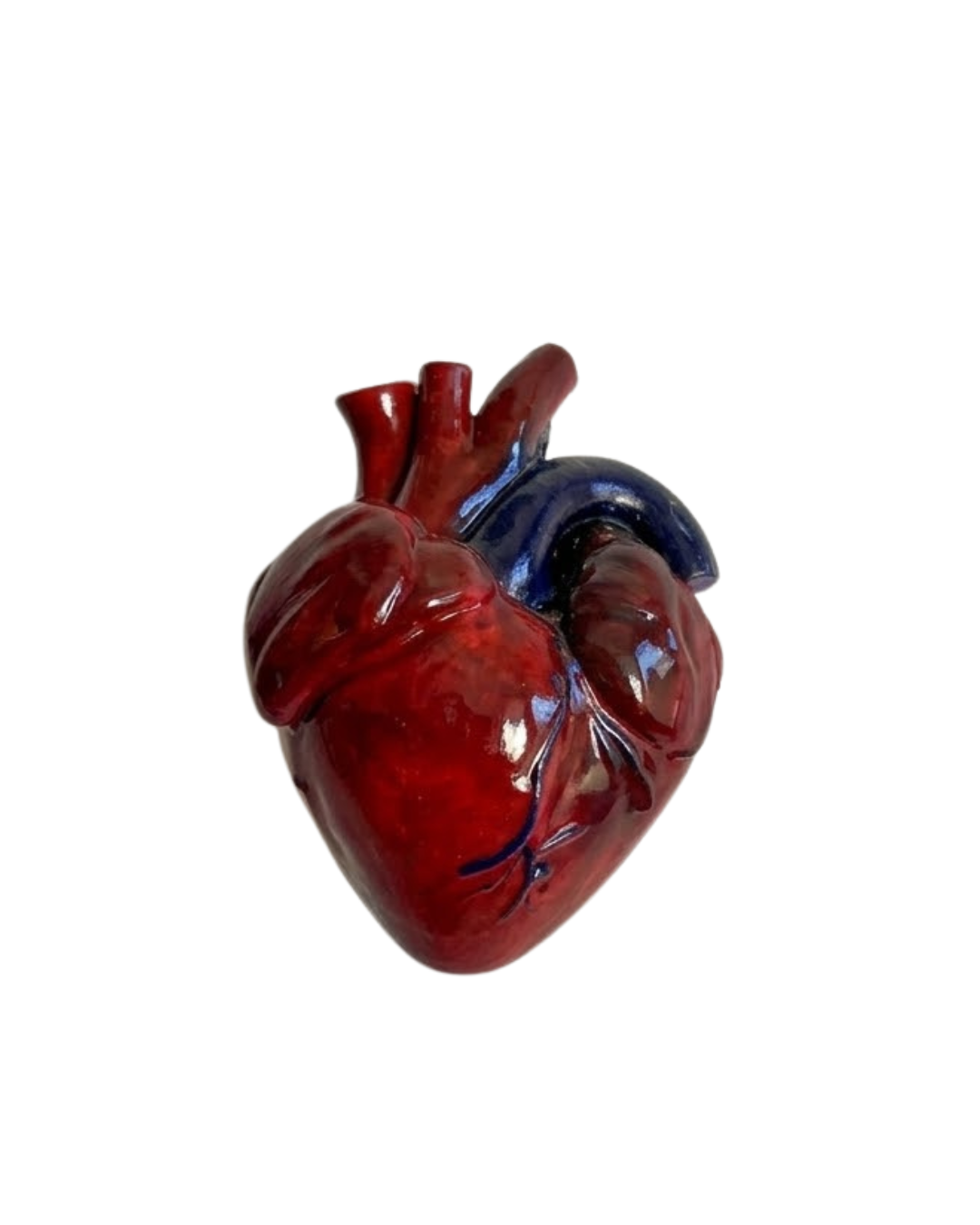 Appendiabiti anatomico